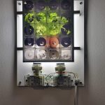 kisterem_2013_Kokesch_POD_011 thumbnail