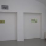 kaldi_kata_kisterem_7 thumbnail