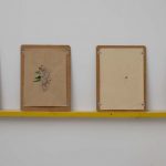 lorant_aniko_2014_12_small thumbnail