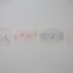 kamilla_szij_installation_view_kisterem_2015_1_ thumbnail