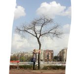 zalavari_im-not-moving-anywhere_Still-white_2012_video_projection thumbnail