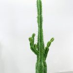 017_kitti_gosztola_old_soldiers_never_die_2016_spray_foam_filler_acrylic_pebble_variable_dimensions thumbnail