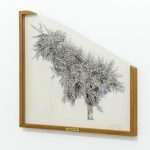 019_kitti_gosztola_right_tree_right_place–prunus_avium_2014_ink_on_paper_cherry_wood_plexiglass_64x69cm thumbnail