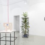 albert_adam_installation_view_4 thumbnail