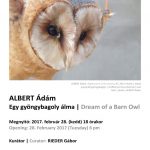 albert_adam_meghivo_kisterem_small thumbnail