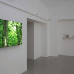 5_installation-view-with-works-of-alex-mirutziu thumbnail