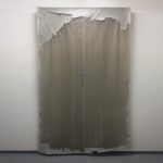 kk_moult_2019_china ink on tissue paper, paraffin thumbnail