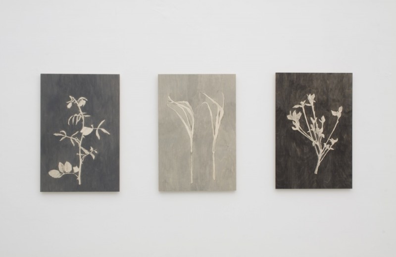 kisterem_bwa_2013_001