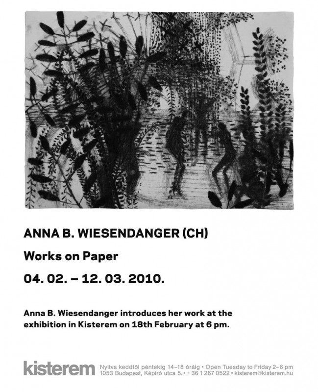 meghivo_wiesendanger_2010_angol