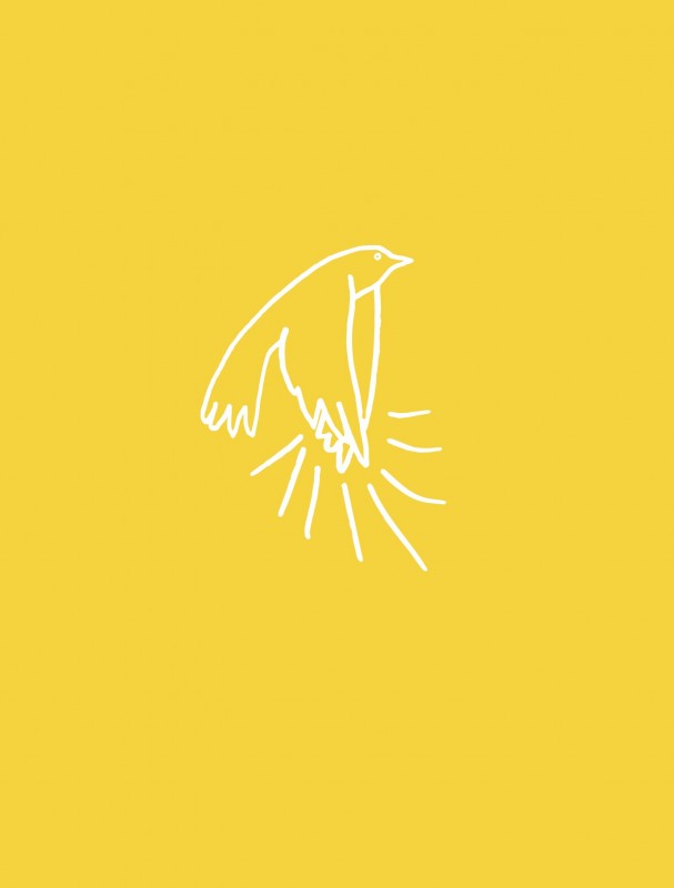 A madarak tapsolnak, amikor felszállnak_borító