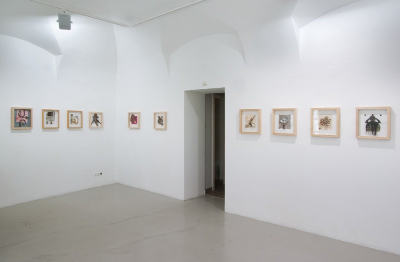 kisterem_2010_d_spoerri_001