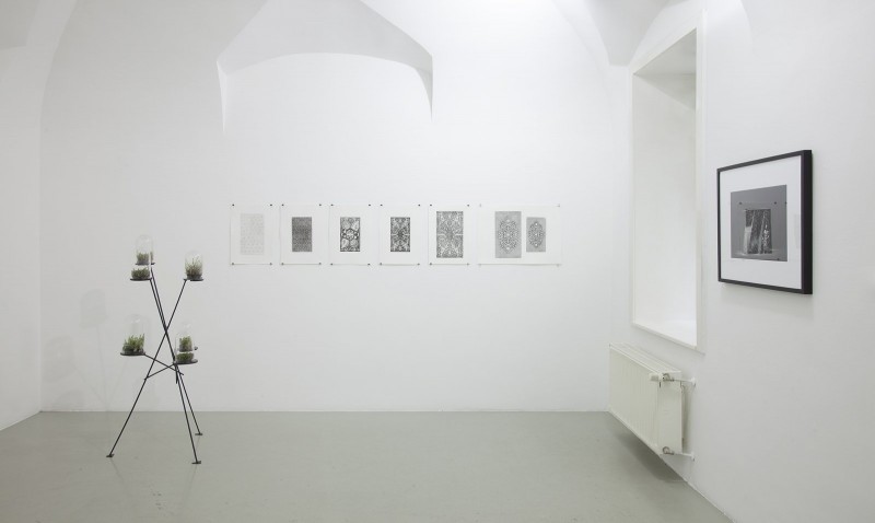 albert_adam_bauxit_2014_01