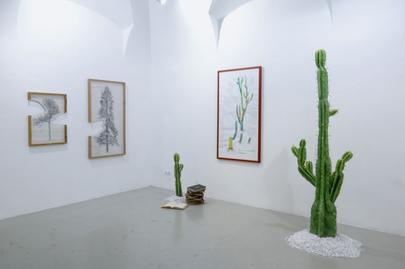 botanics_politics_installation_view_gosztola_4_small