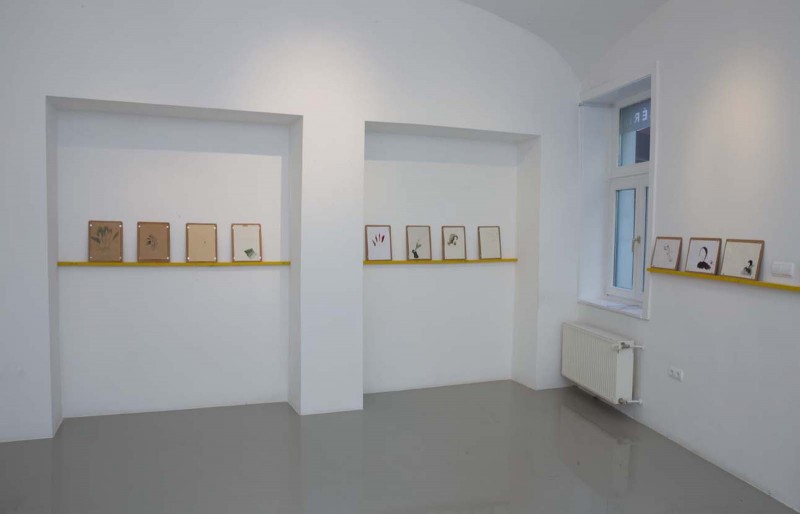 lorant_aniko_2014_01_small