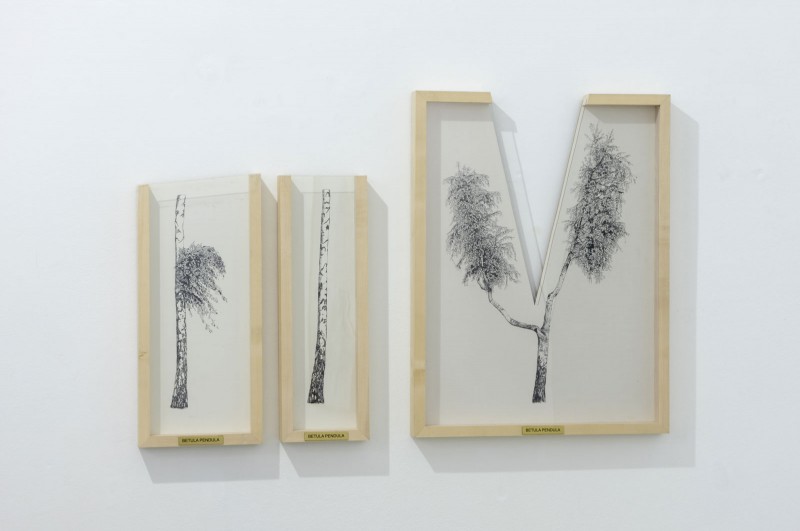botanics_politics_installation_view_gosztola_6_small