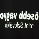 kisterem_2011_background_2_009 thumbnail